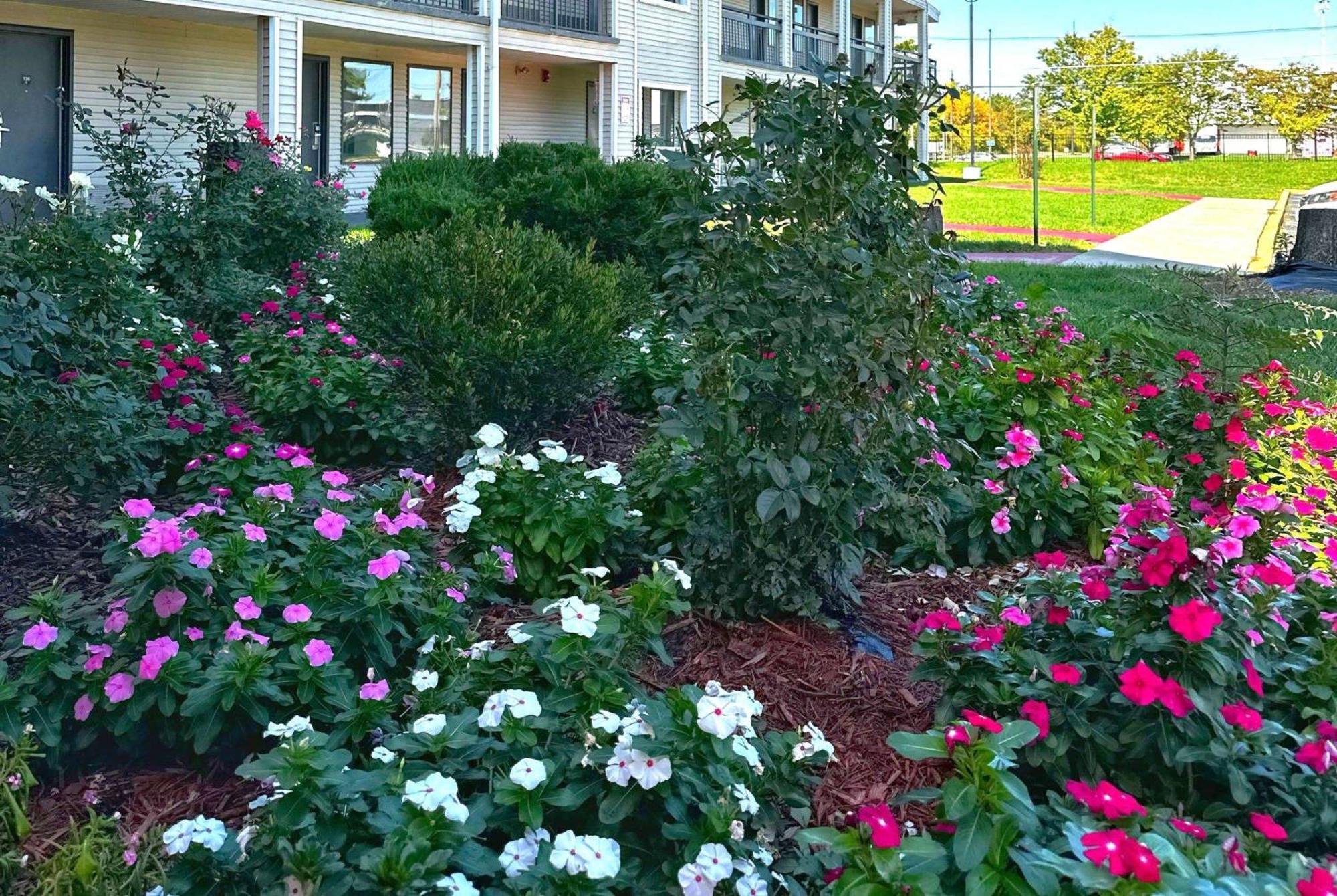 Baymont Inn And Suites By Wyndham Columbus / Near Osu Kültér fotó